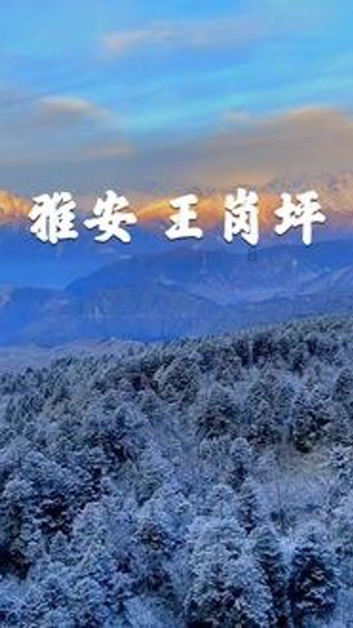 如何除去黑眼圈?,发现更多乐趣
