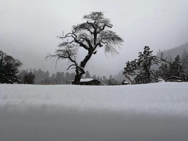 石油骚动