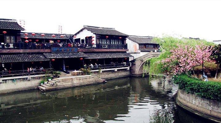 救援可爱小松鼠